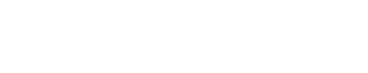 Max Ivan AS logo